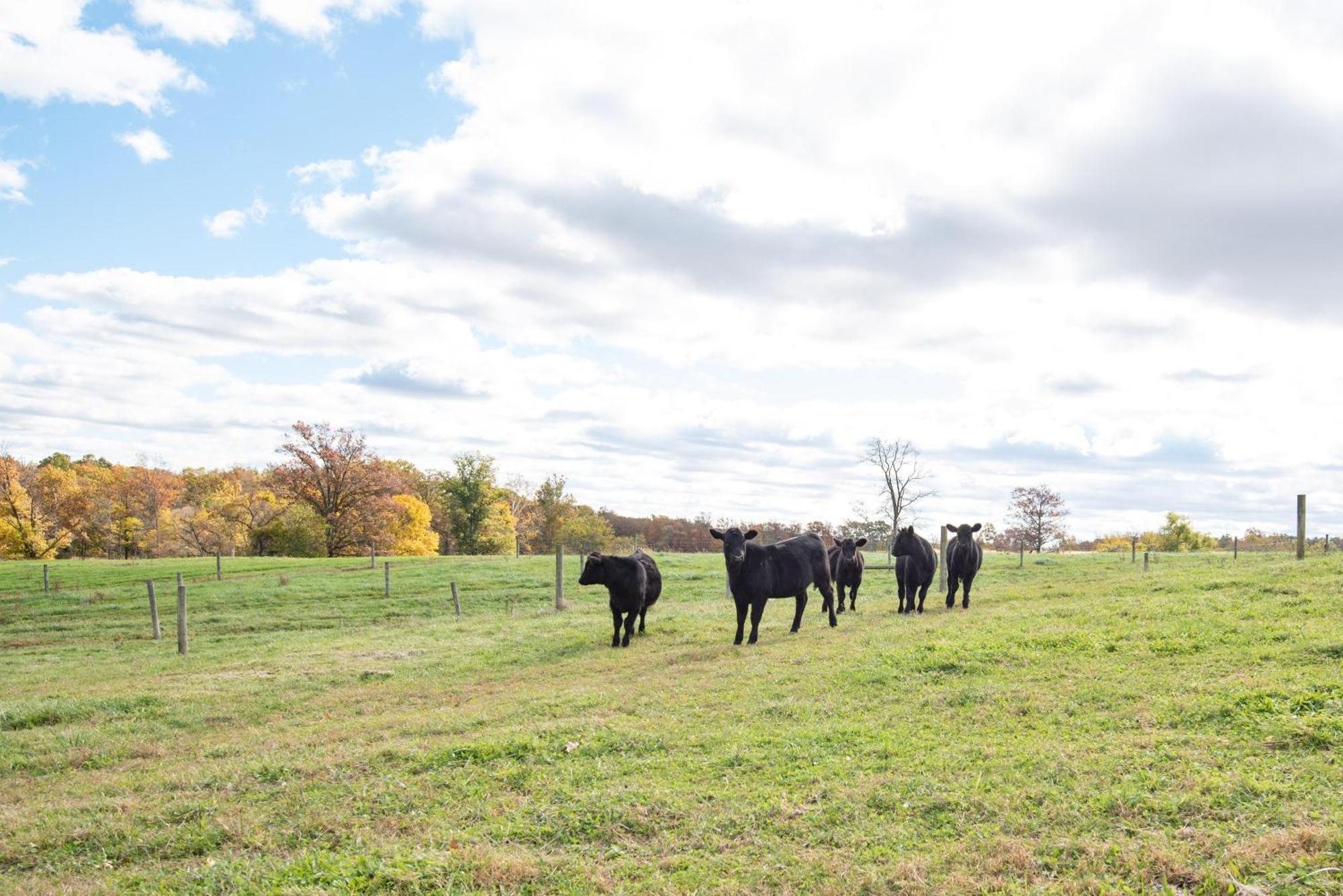 Cozy Cow With Pool! Vila Gettysburg Exterior foto