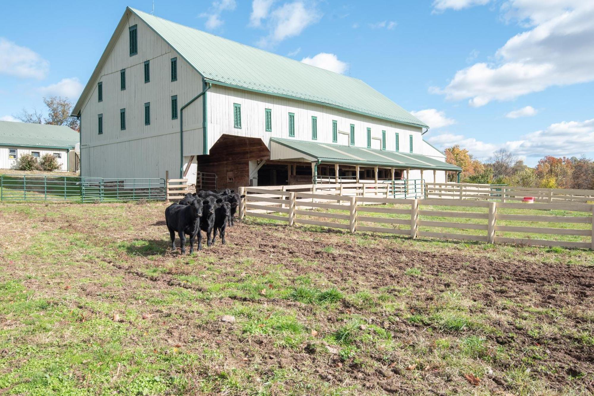 Cozy Cow With Pool! Vila Gettysburg Exterior foto